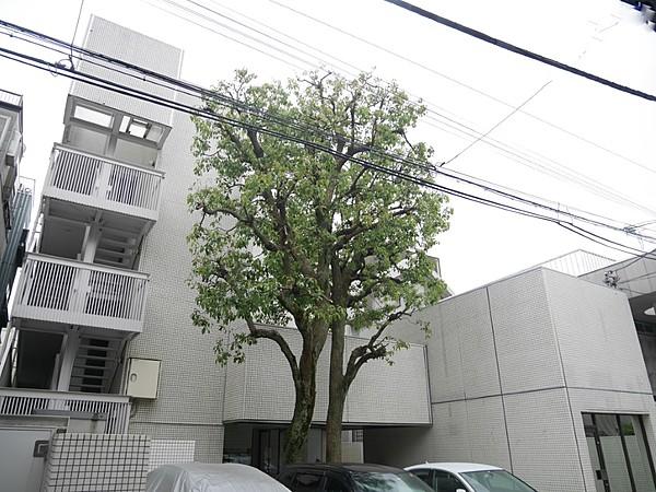 ホームズ サンライン南青山ハイツの建物情報 東京都港区南青山7丁目14 3